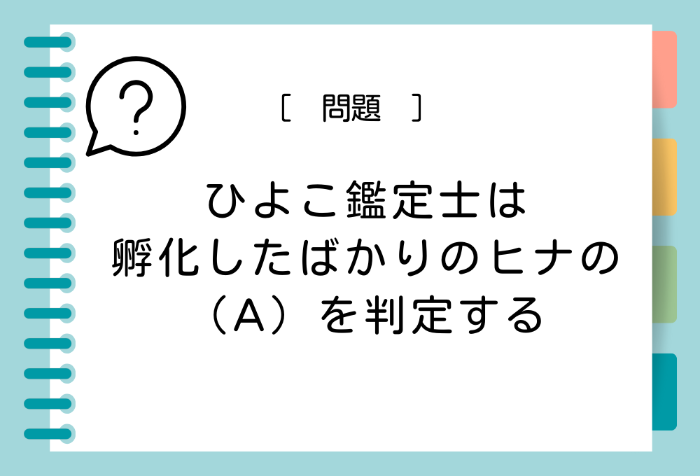 「ひよこ鑑定士」は孵化したばかりのヒナの（A）を判定する専門職。（A）に入るのはどれ？