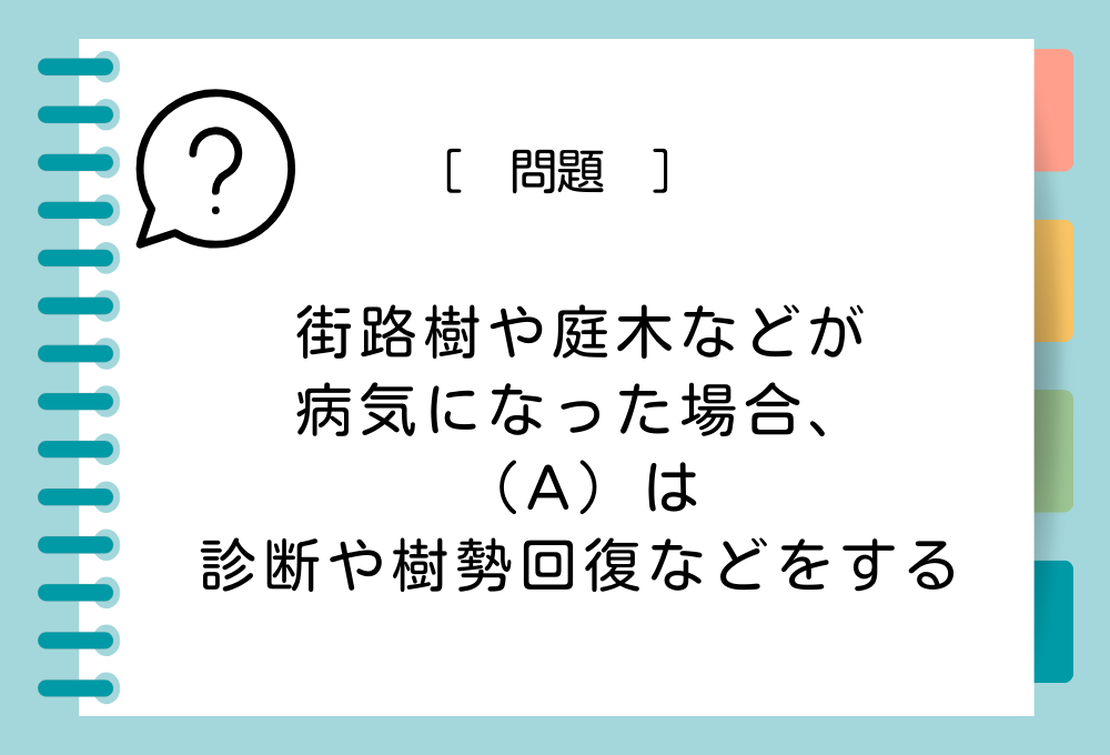 街路樹や庭木などが病気になったり傷んだりした場合、（A）は診断や樹勢回復などをする。（A）に入るものは？