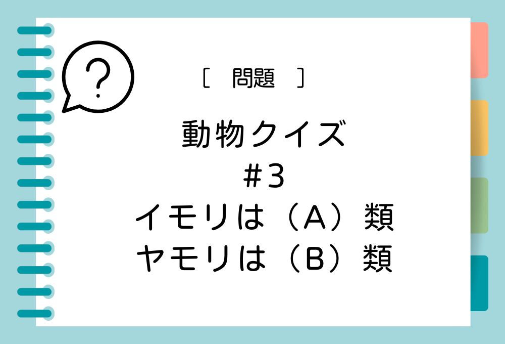 イモリは（A）類、ヤモリは（B）類。（A）（B）に入る言葉は？