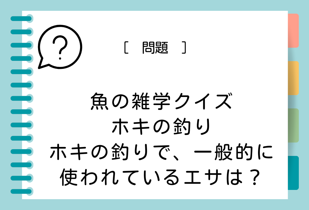 ホキのエサ釣りで、一般的に使われているエサは？