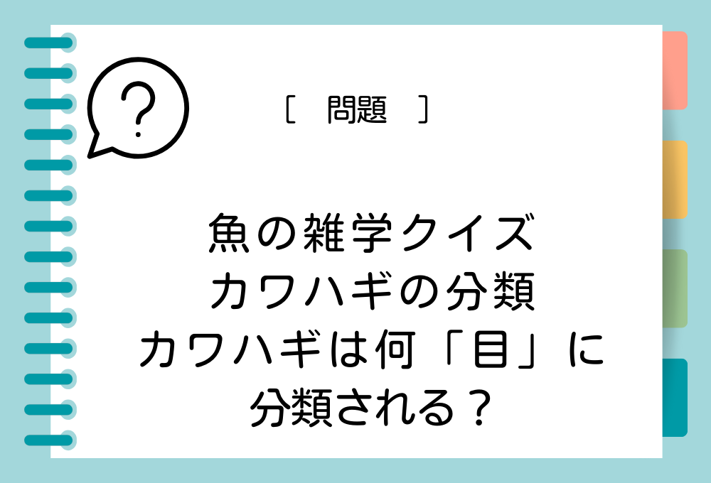 カワハギは、カワハギ〇〇目カワハギ科に分類されますが、何「目」に分類されるでしょうか？