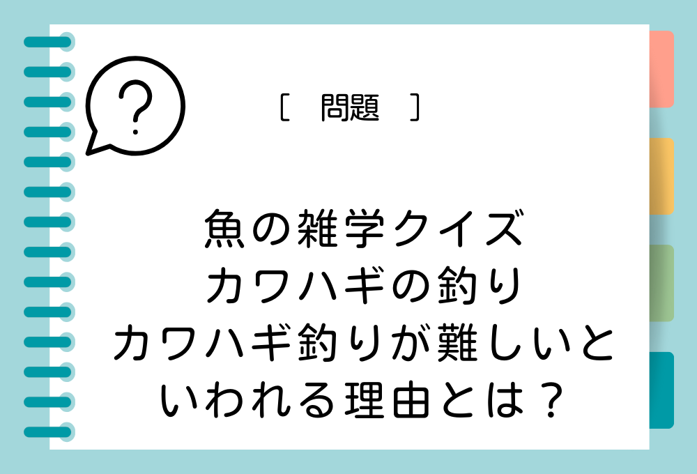 カワハギ釣りが難しいと言われている理由とは？