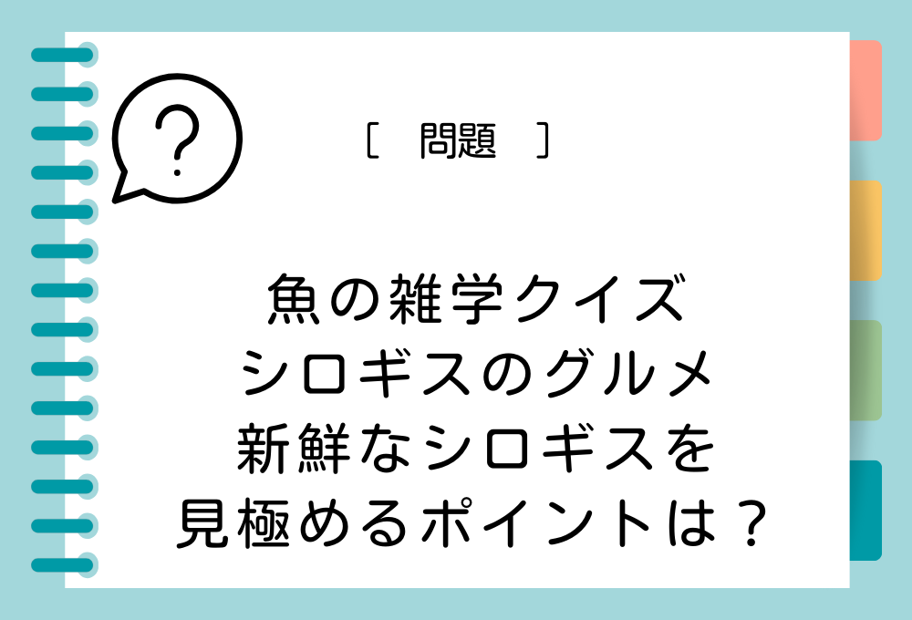 新鮮なシロギスを見極めるときの、見立てのポイントは？