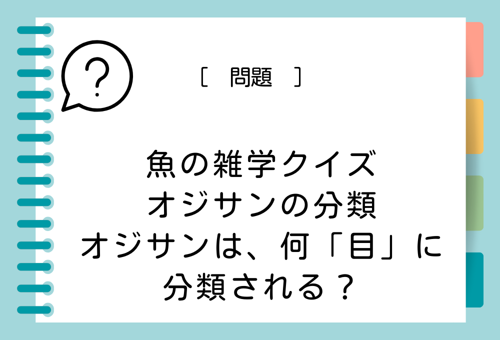 オジサンは、何「目」に分類されるでしょうか？