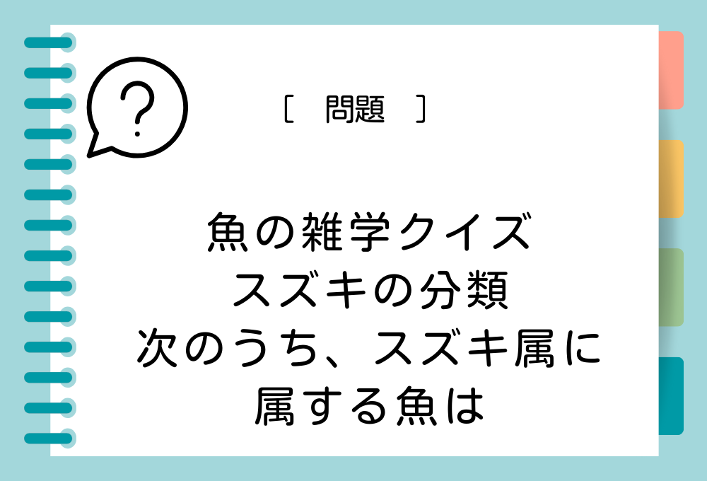 スズキ・タイリクスズキ以外の、スズキ属に属している魚の名前は？