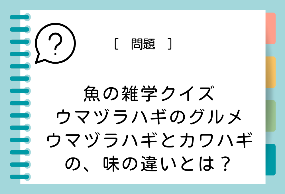 ウマヅラハギとカワハギの、味の違いとは？