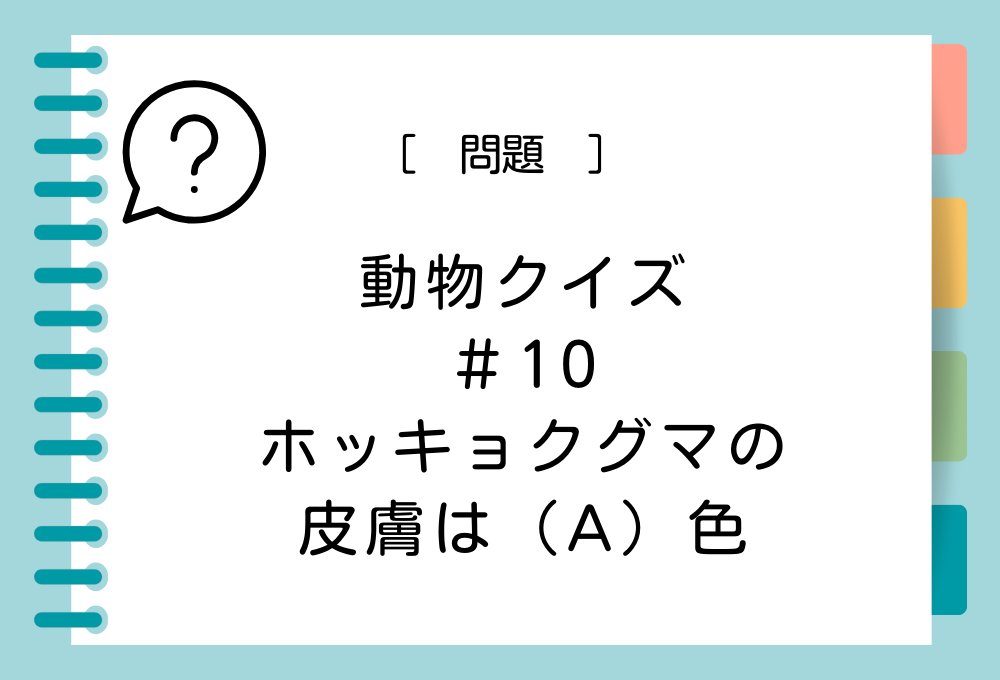 ホッキョクグマの皮膚は（A）色。（A）に入る言葉は？