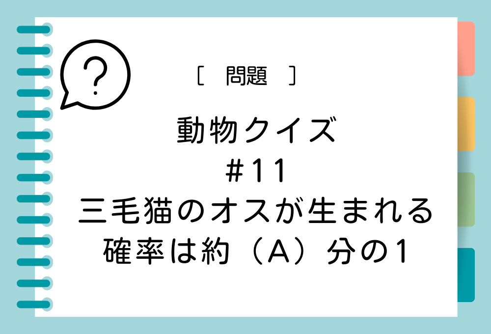 三毛猫のオスが生まれる確率は約（A）分の1。（A）に入る言葉は？