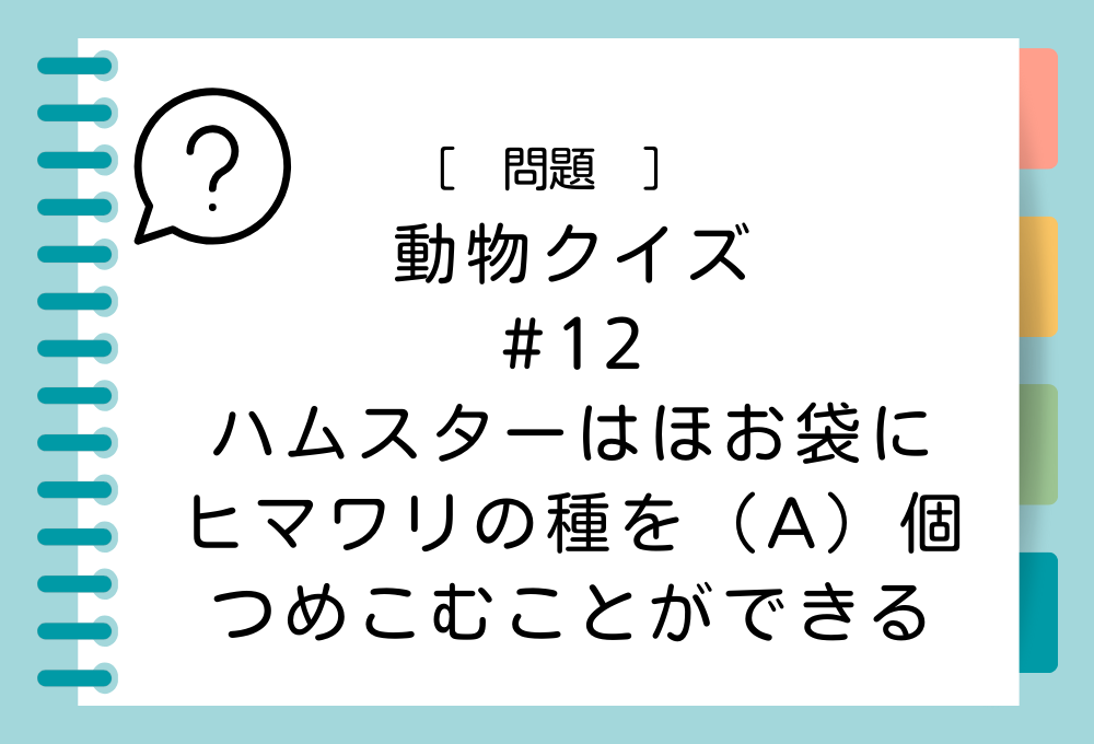 ハムスターはほお袋に、ヒマワリの種を（A）個つめこむことができる。（A）に入る言葉は？