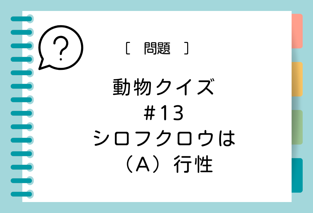 シロフクロウは（A）行性という特徴を持つ。（A）に入る言葉は？