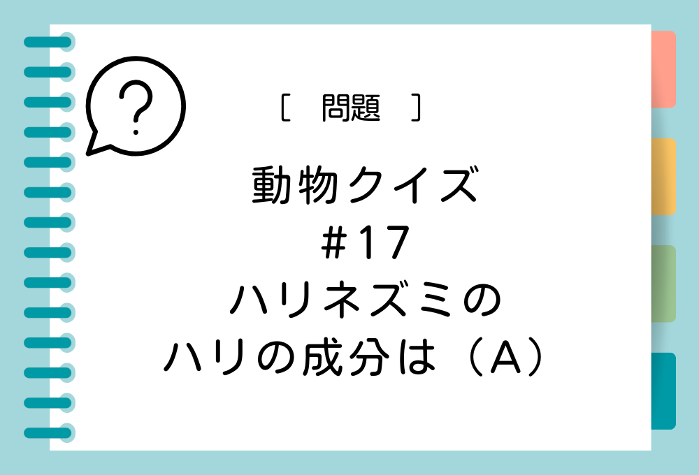 ハリネズミのハリの成分は（A）。（A）に入る言葉は？