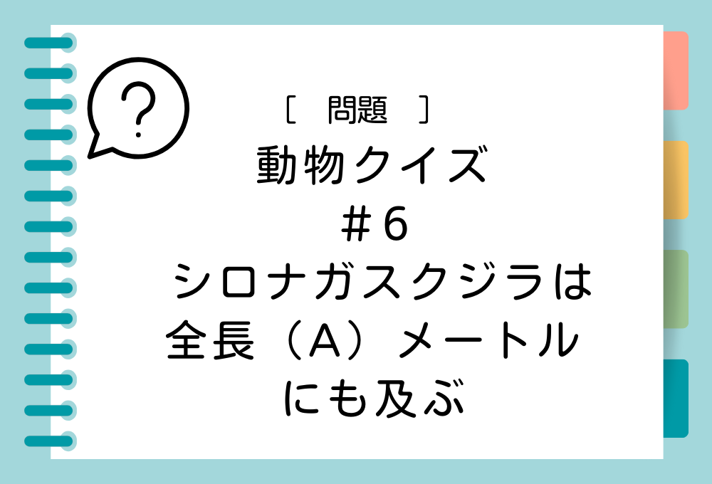 シロナガスクジラは全長（A）メートルにも及ぶ。（A）に入る言葉は？