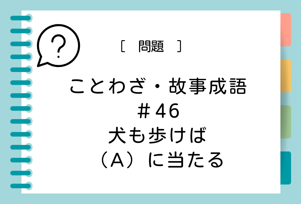 「犬も歩けば（A）に当たる」（A）に入る言葉は？