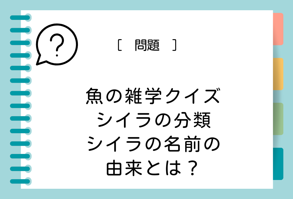 シイラという名前は、ある植物の実が由来になっているといわれていますが、それはどの植物でしょうか？