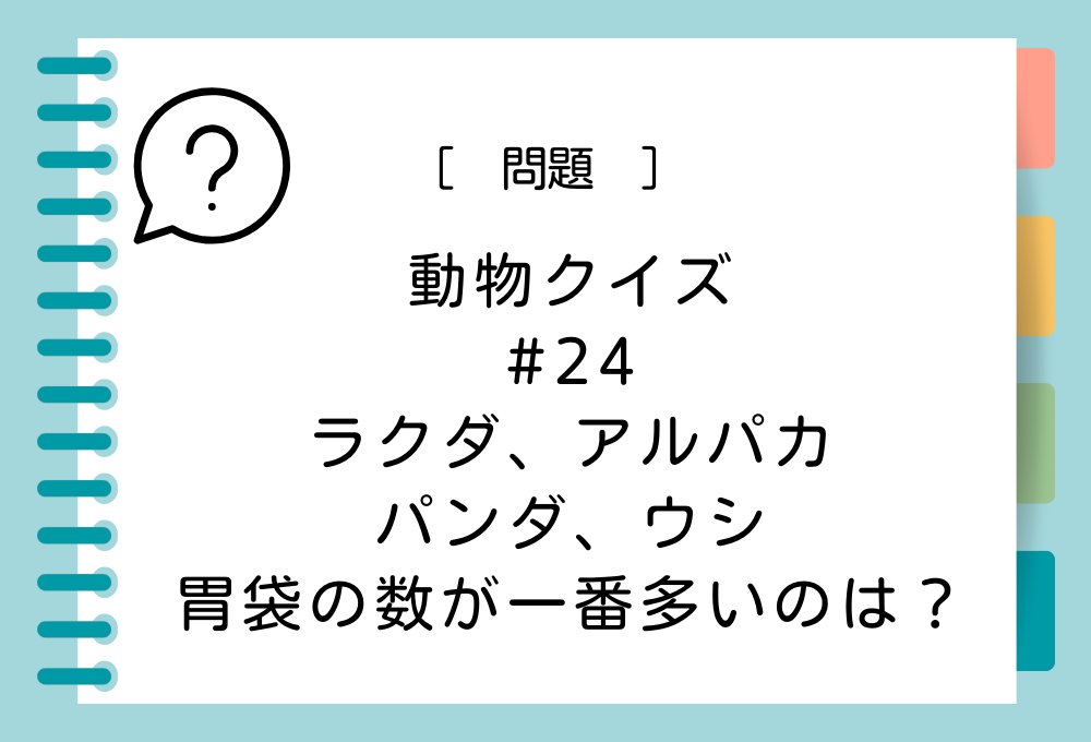 ラクダ、アルパカ、パンダ、ウシの中で胃袋の数が一番多いのは？