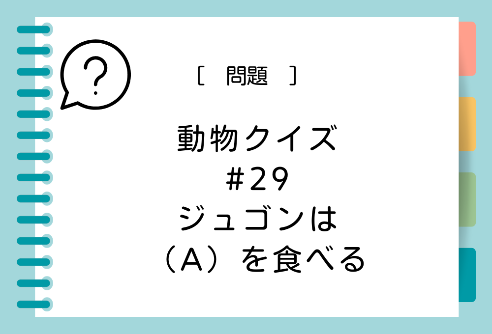 ジュゴンは（A）を食べる。（A）に入る言葉は？