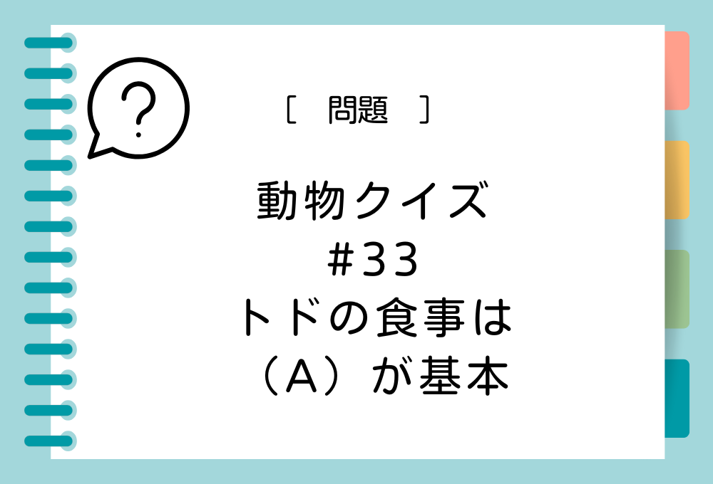 トドの食事は（A）が基本。（A）に入る言葉は？